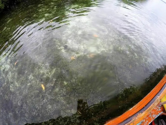 cayo Zapatilla desde Bocas del Toro