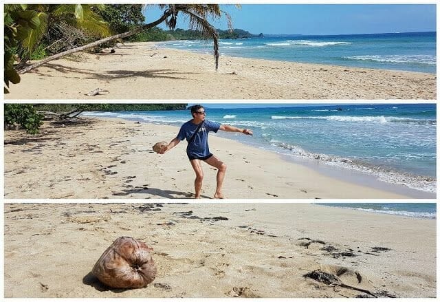 playa red frog bocas del toro