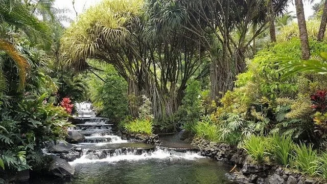 Termas de Tabacon