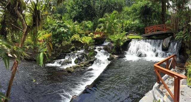 aguas termales Tabacón