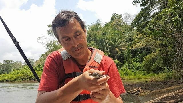 lago Gatún caiman