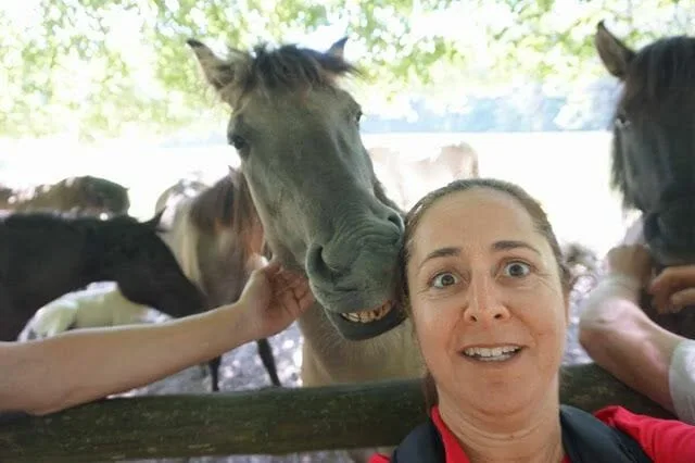 selfie con un caballo