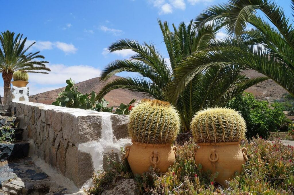 jardines de betancuria