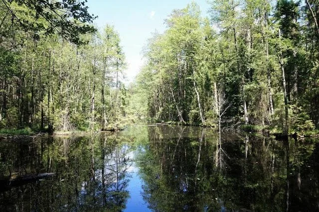 lago parque nacional de Roztocze