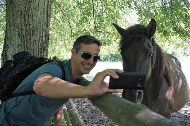 caballo parque nacional de Roztocze