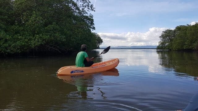 Canoa el tramo del río Jivales - Parque Nacional de los Haitises