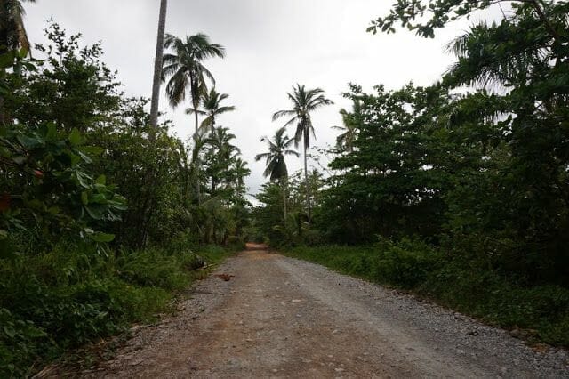 camino sin asfaltar a playa rincon