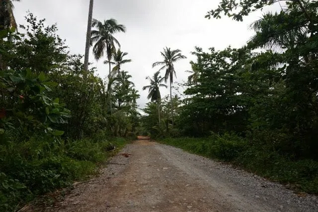 camino sin asfaltar a playa rincon