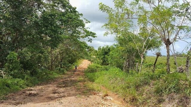 Punta Cana, camino