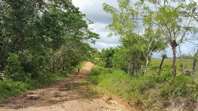 Punta Cana, camino