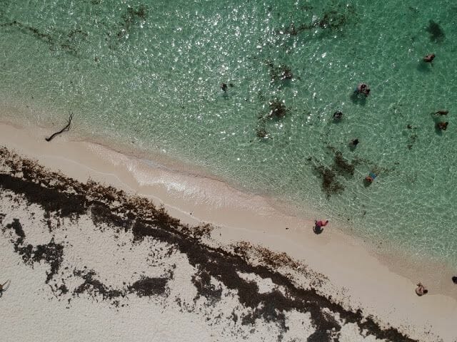 isla saona drone