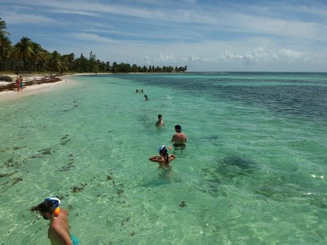 snorkel en playa isla saona