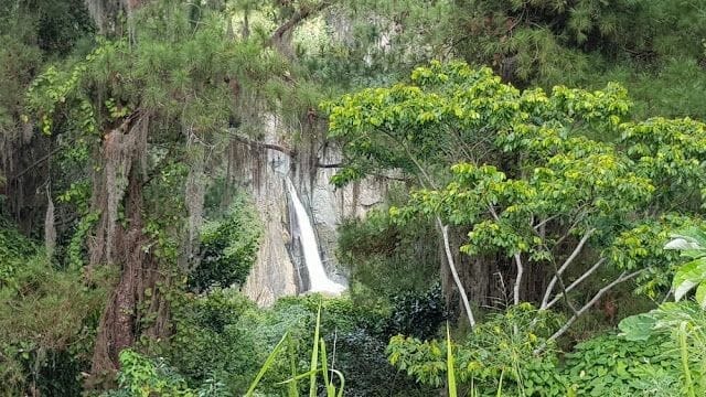 SALTO JIMENOA entre la vegetacion