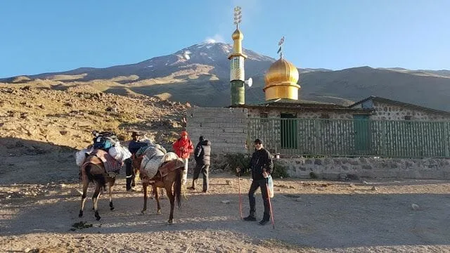 Mulas excursión