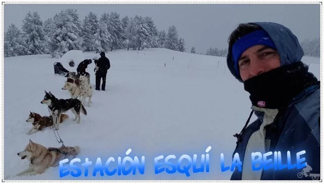 trineo perros pista esqui