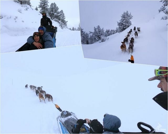 trineo perro ariège