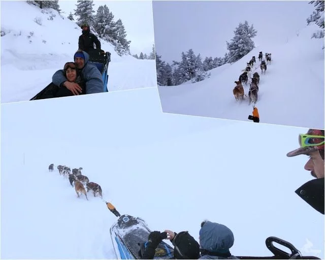 trineo perro ariège