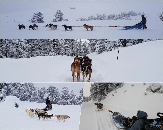 trineo perros pistas de esquí de Beille en el Ariège