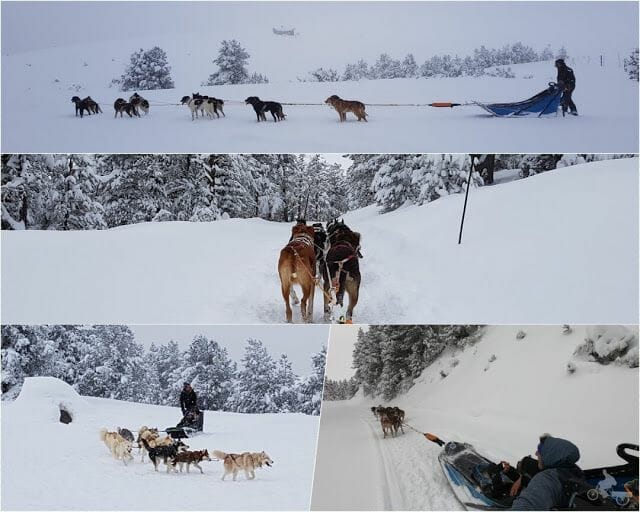 trineo de perros estación de La Beille en elo viaje al Ariège 