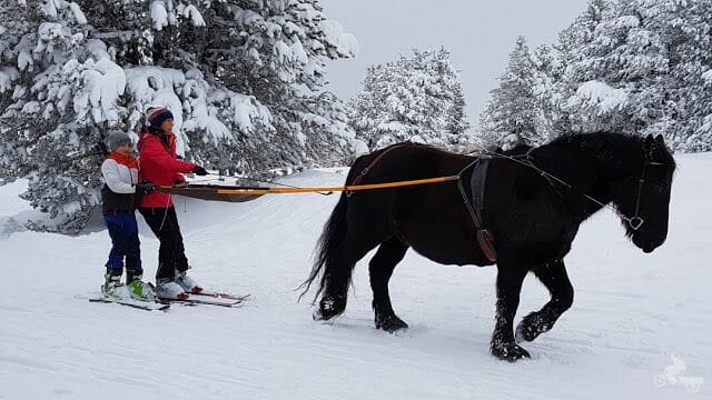 caballos pistas de esquí de Beille en el Ariège