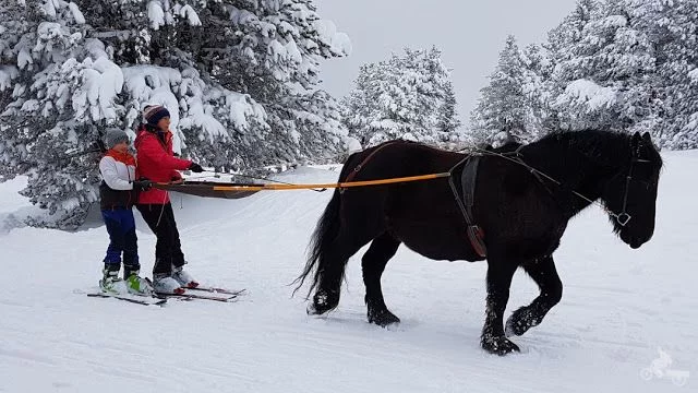 caballos pistas de esquí de Beille en el Ariège