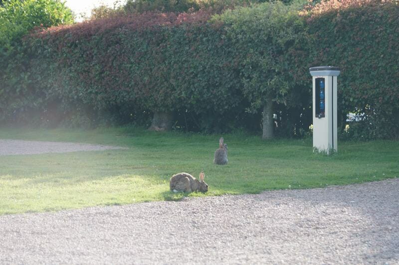 poste electricidad camping caravan club Inglaterra