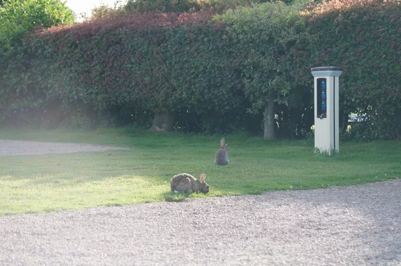 poste electricidad camping caravan club Inglaterra