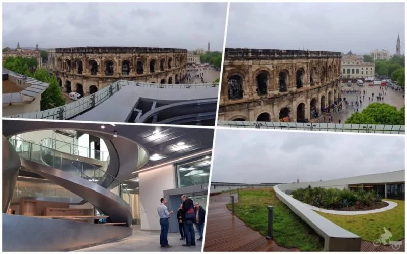 cistas terraza museo romanidad Nimes