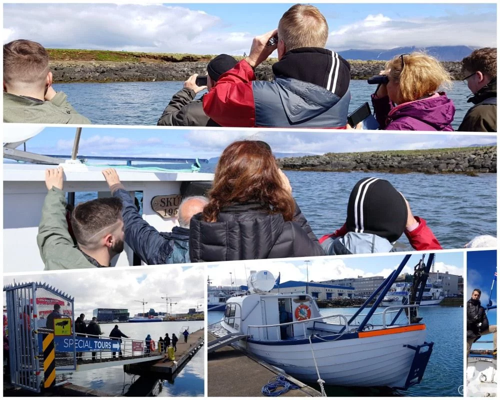special tours reikiavik