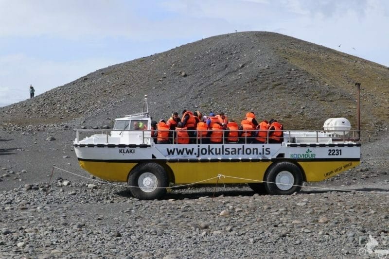 anfibio jokulsarlon