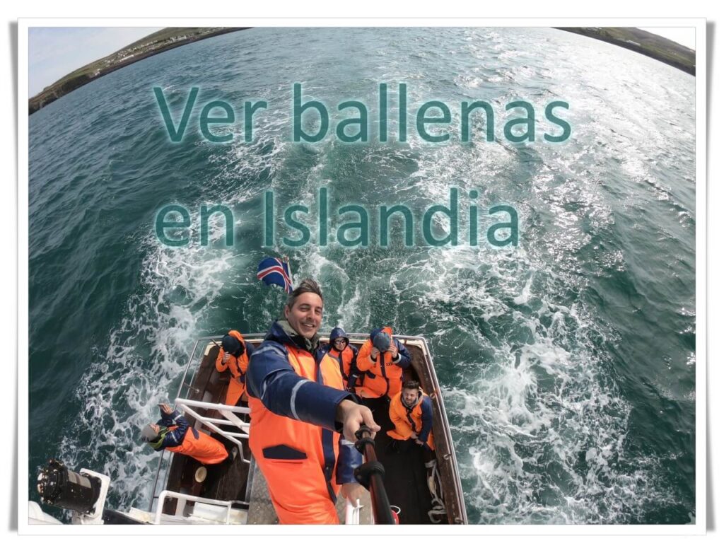 avistamiento de ballenas en husavik