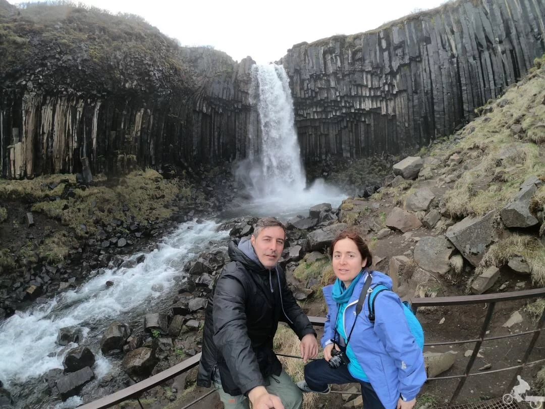 cascada svartifoss en el Parque nacional Skaftafell Islandia
