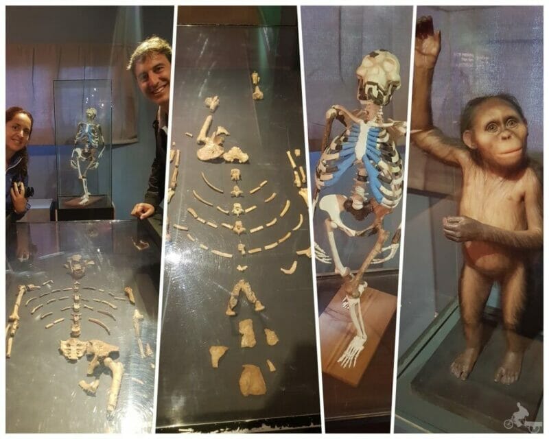 lucy museo nacional que ver en Etiopía