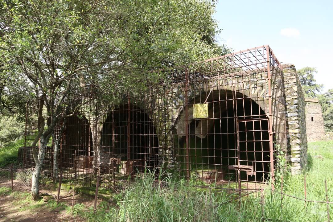 leones qué ver en Gondar