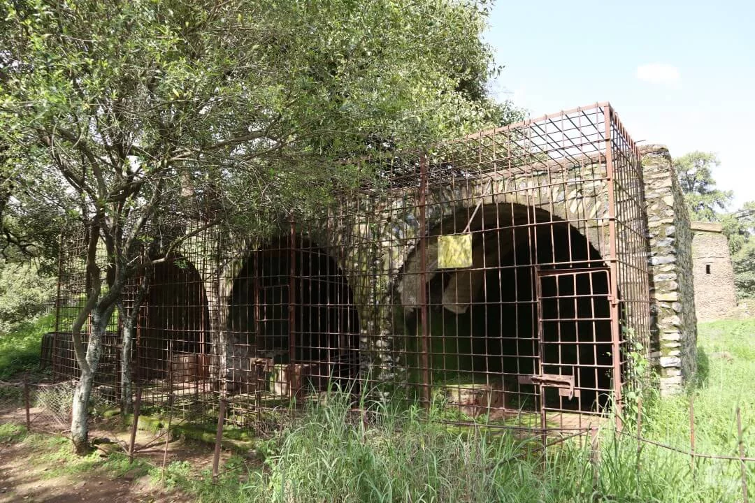 leones qué ver en Gondar