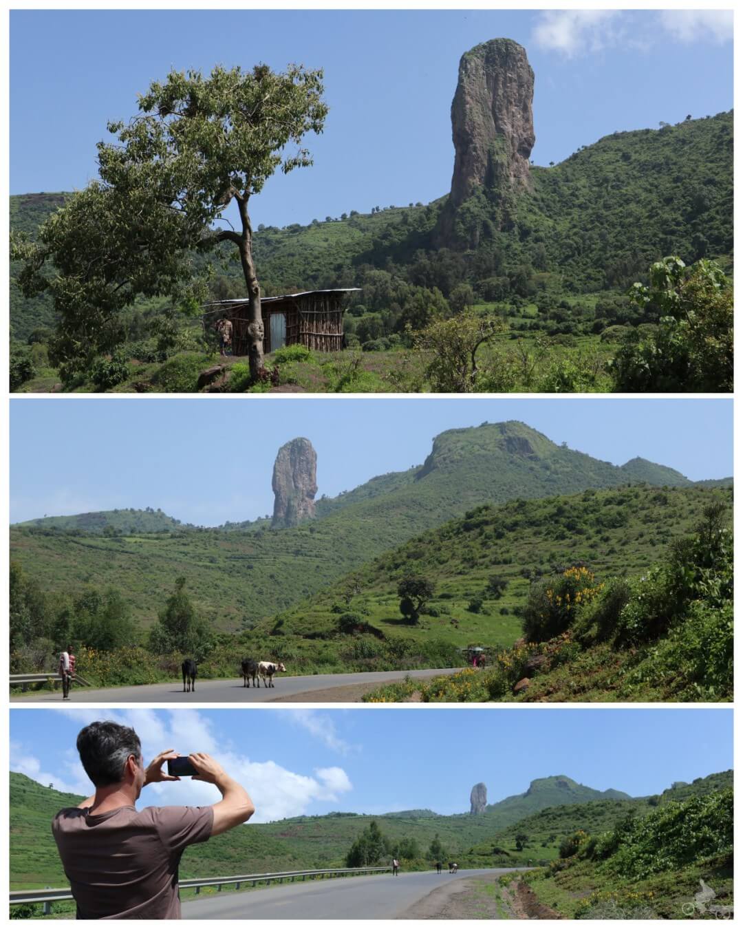 montaña rara etiopia
