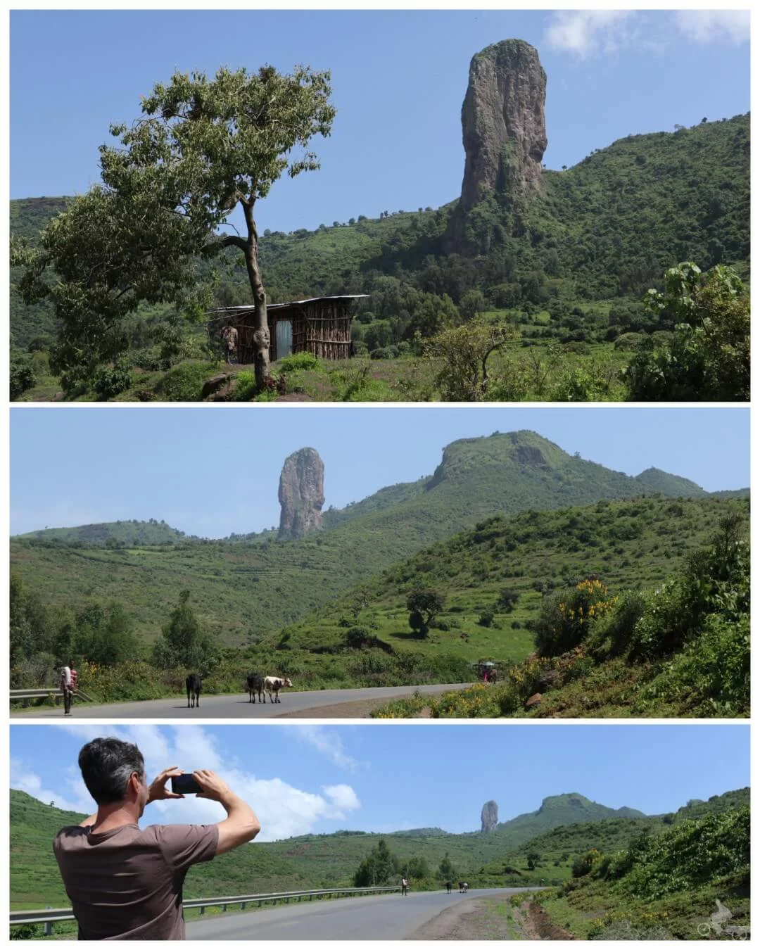 montaña rara etiopia