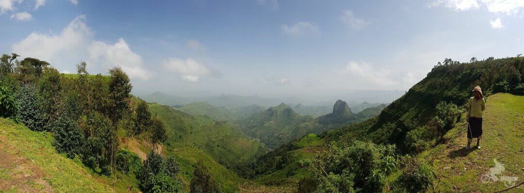 parque nacional de simien