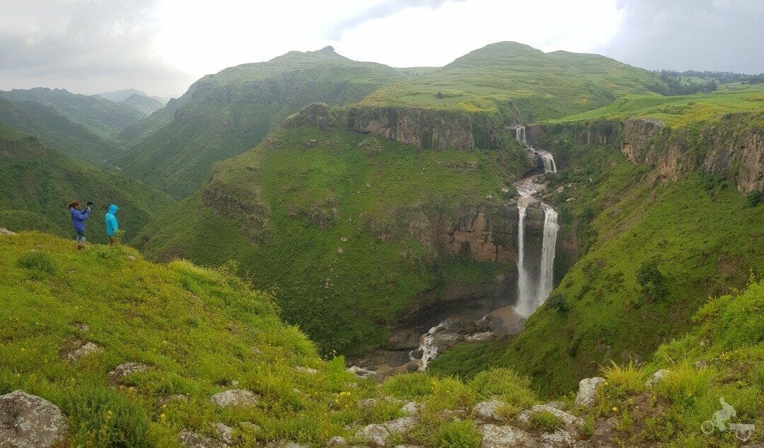debark cascadas