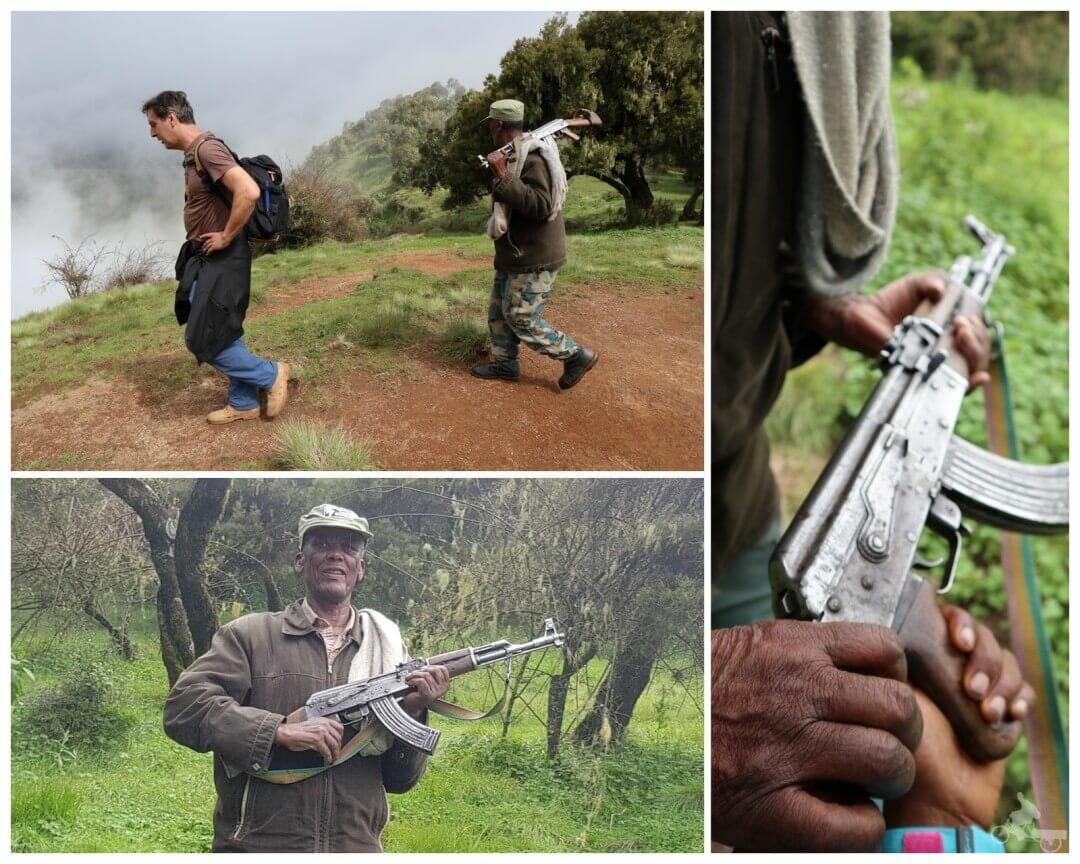 scout parque nacional de simien