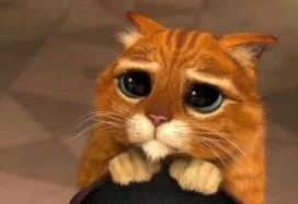 gato con botas shrek