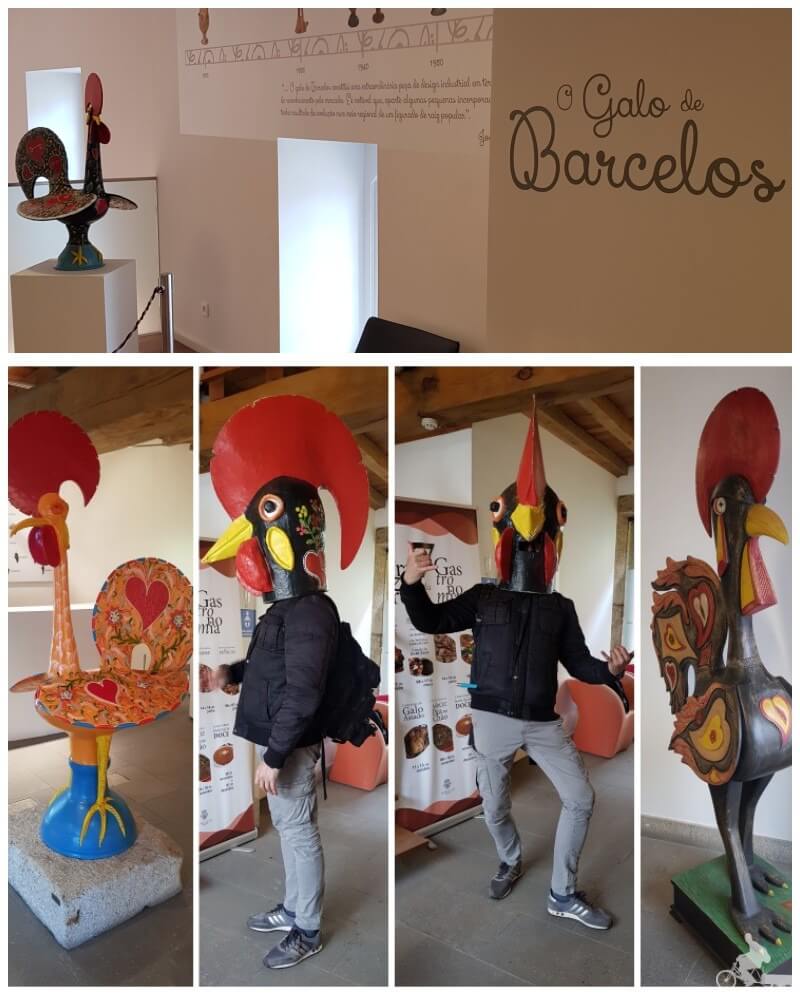 gallo barcelos