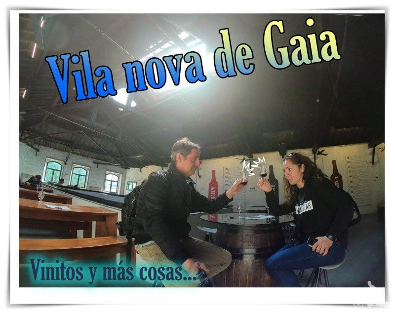 Vila Nova de Gaia - que ver