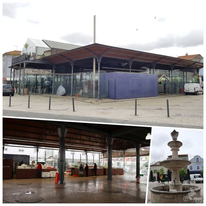 plaza do peixe que ver en aveiro