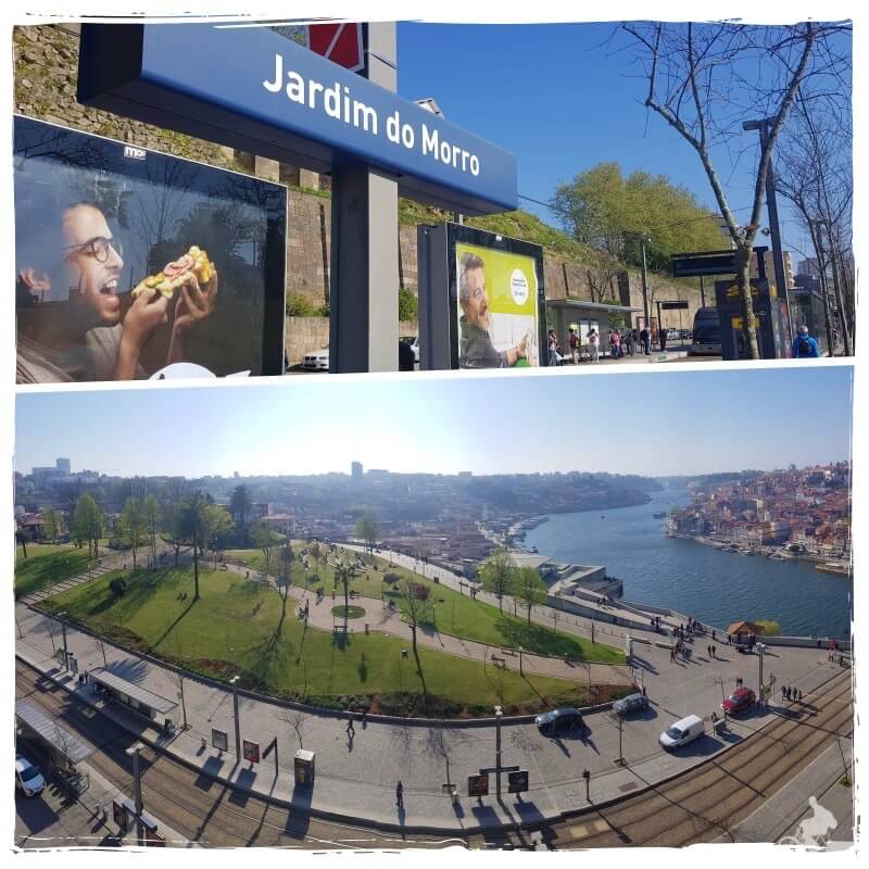 jardim do morro gaia