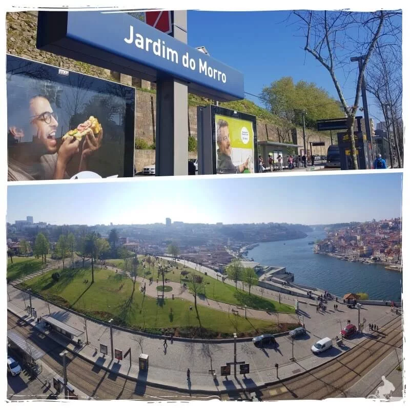 jardim do morro gaia