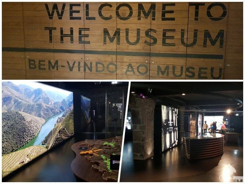 museo bodega calem