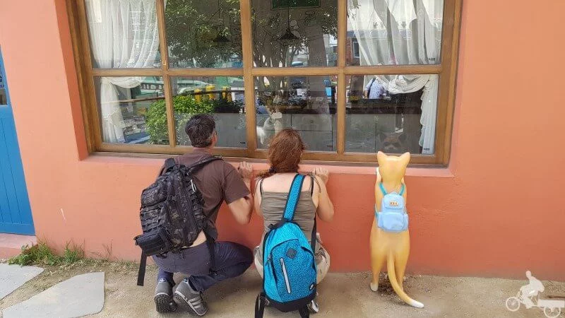 curioseando en Gamcheon Culture Village