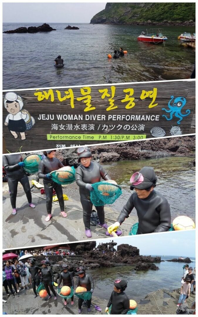 mujeres buceadoras de jeju