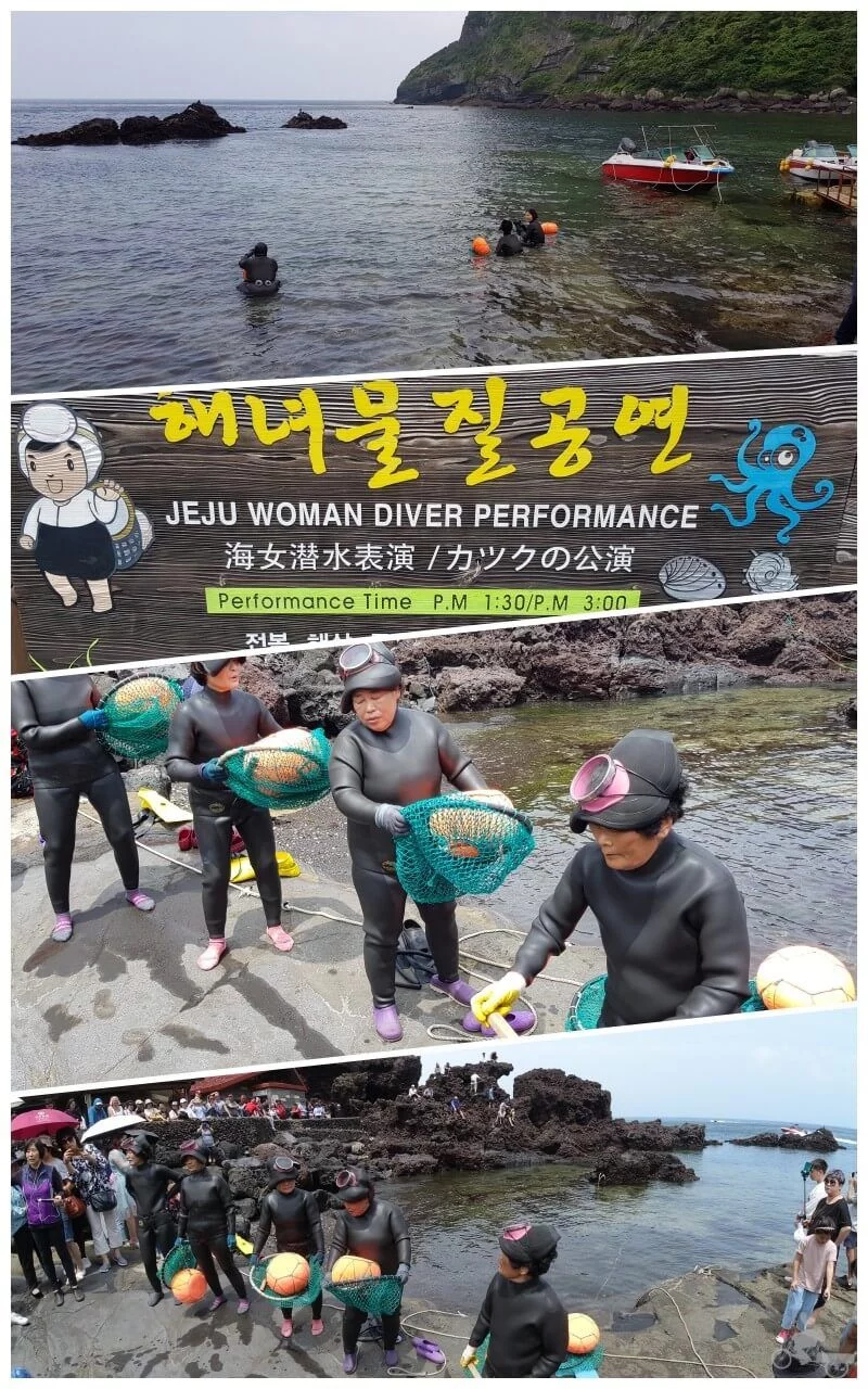 mujeres buceadoras de jeju